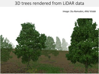 3D trees rendered from LiDAR data
Image: Stu Ramsden, ANU Vislab
 