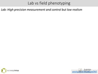 Lab vs field phenotyping
Lab: High precision measurement and control but low realism
youtu.be/d3vUwCbpDk0
 