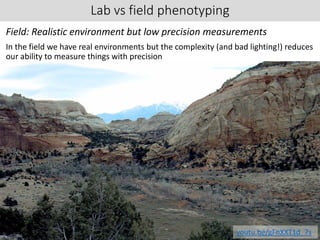 Lab vs field phenotyping
Field: Realistic environment but low precision measurements
In the field we have real environments but the complexity (and bad lighting!) reduces
our ability to measure things with precision
youtu.be/gFnXXT1d_7s
 