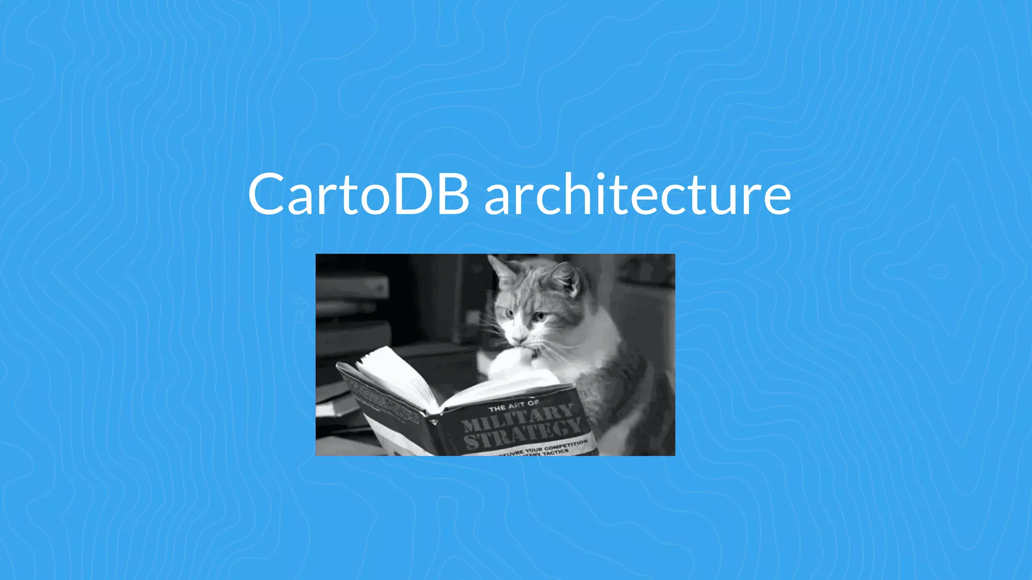 CartoDB architecture
 
