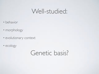 Well-studied:
• behavior
• morphology
• evolutionary context
• ecology
Genetic basis?
 