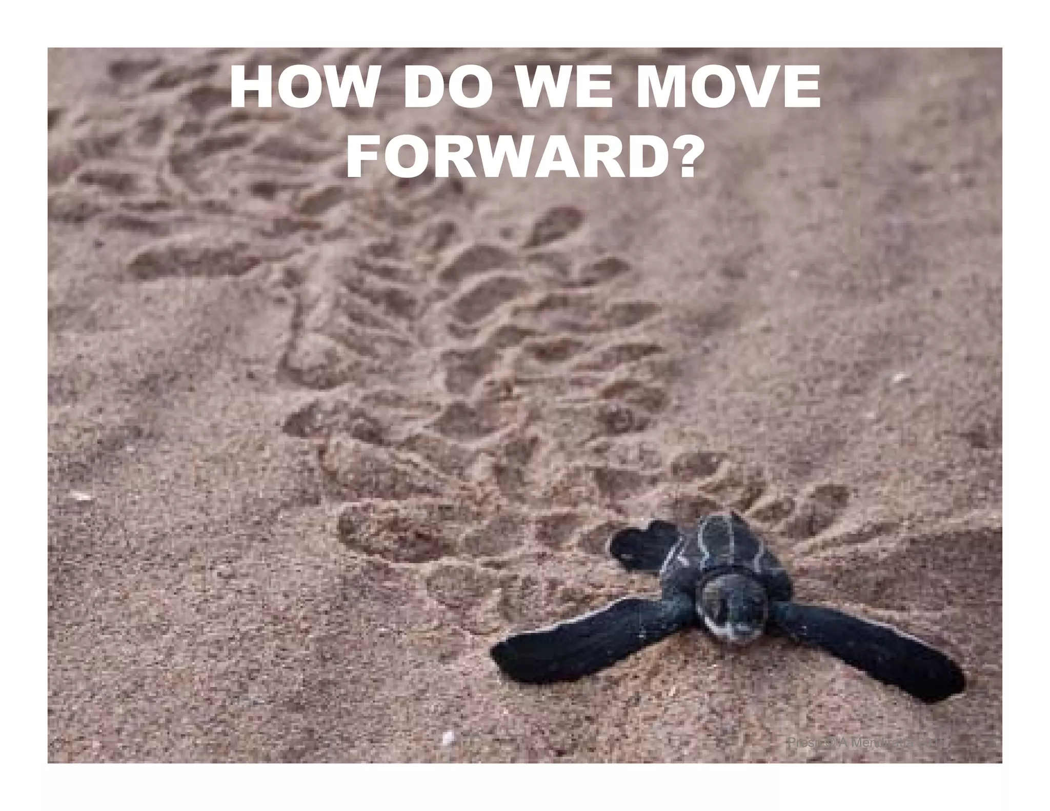 HOW DO WE MOVE
FORWARD?
Presn © A Mendiratta 2015
 