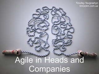 Agile in Heads and
Companies
Timofey Yevgrashyn
tim(a)tim.com.ua
 