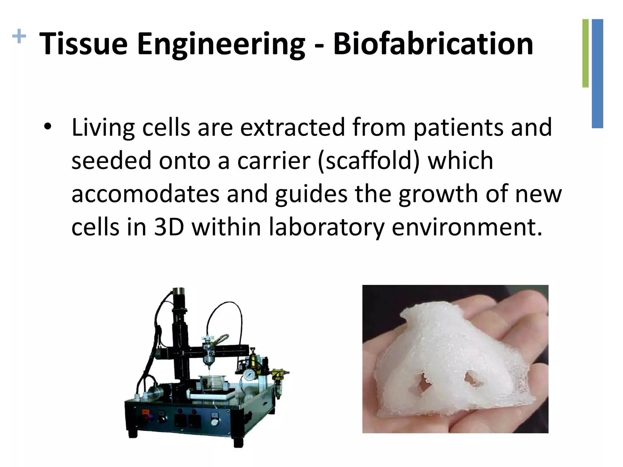 + Tissue Engineering - Biofabrication
• Living cells are extracted from patients and
seeded onto a carrier (scaffold) which
accomodates and guides the growth of new
cells in 3D within laboratory environment.
 