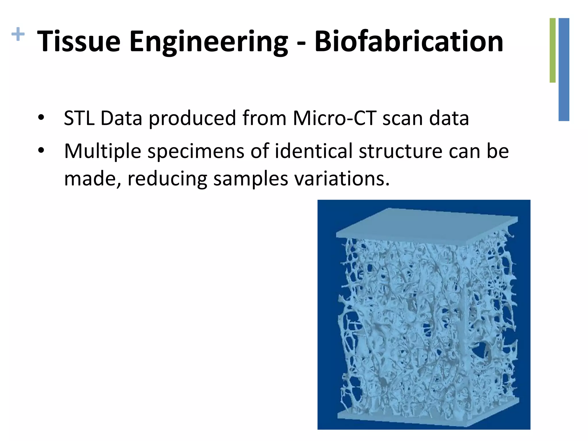 + Tissue Engineering - Biofabrication
• STL Data produced from Micro-CT scan data
• Multiple specimens of identical structure can be
made, reducing samples variations.
 