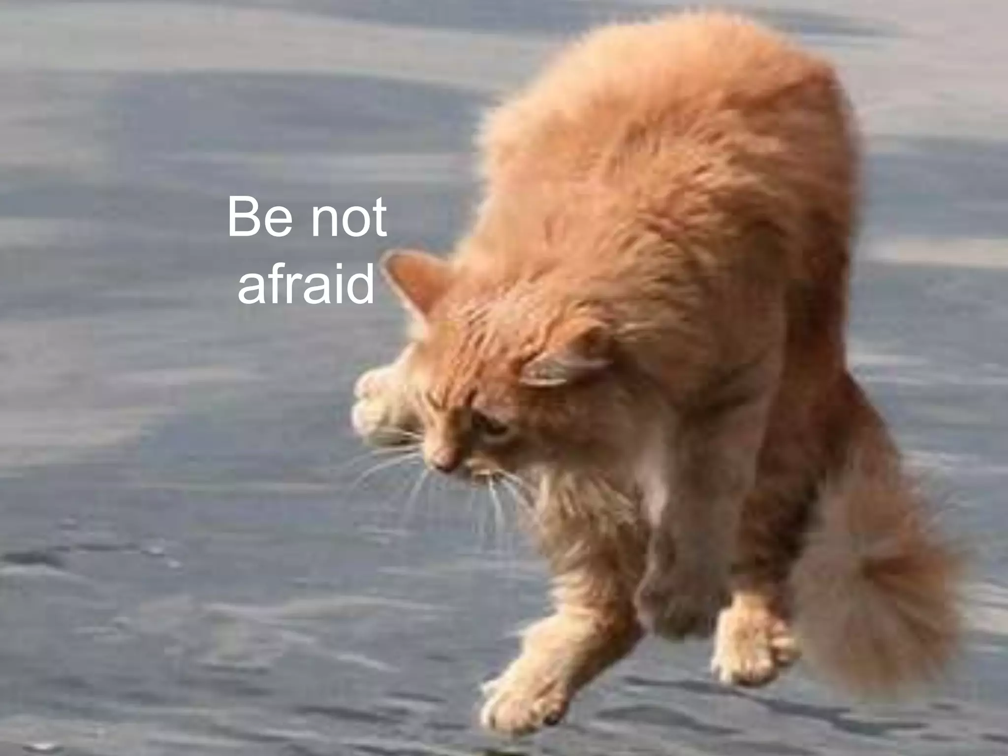 Be not
afraid
 