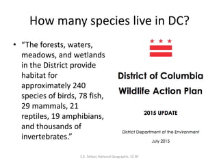 How many species live in DC?
• “The forests, waters,
meadows, and wetlands
in the District provide
habitat for
approximately 240
species of birds, 78 fish,
29 mammals, 21
reptiles, 19 amphibians,
and thousands of
invertebrates.”
C.E. Seltzer, National Geographic. CC BY
 