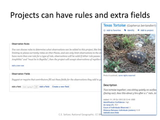Projects can have rules and extra fields
C.E. Seltzer, National Geographic. CC BY
 