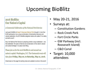 Upcoming BioBlitz
• May 20-21, 2016
• Surveys at:
– Constitution Gardens
– Rock Creek Park
– Fort Circle Parks
– GW Parkway (incl.
Roosevelt Island)
– C&O Canal
• Target: 10,000
attendees
C.E. Seltzer, National Geographic. CC BY
 