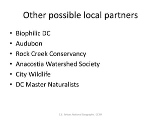 Other possible local partners
• Biophilic DC
• Audubon
• Rock Creek Conservancy
• Anacostia Watershed Society
• City Wildlife
• DC Master Naturalists
C.E. Seltzer, National Geographic. CC BY
 