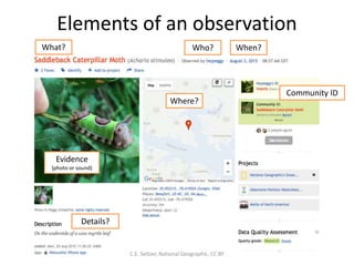 Elements of an observation
C.E. Seltzer, National Geographic. CC BY
What? Who? When?
Where?
Details?
Community ID
Evidence
(photo or sound)
 