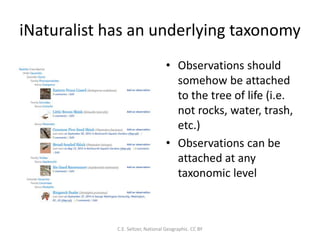 iNaturalist has an underlying taxonomy
• Observations should
somehow be attached
to the tree of life (i.e.
not rocks, water, trash,
etc.)
• Observations can be
attached at any
taxonomic level
C.E. Seltzer, National Geographic. CC BY
 