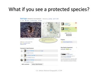What if you see a protected species?
C.E. Seltzer, National Geographic. CC BY
 