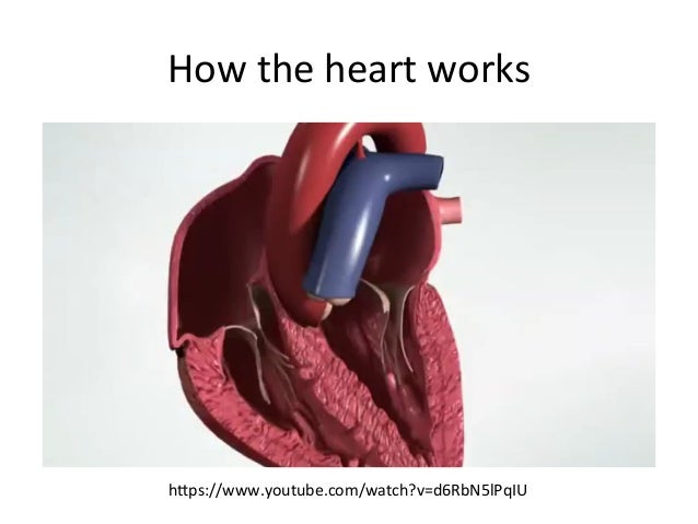 unpatchable living with a vulnerable implanted device youtube how the heart works