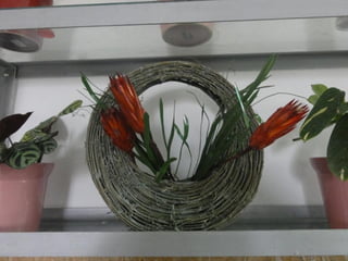 2015 10 botanica jibou web