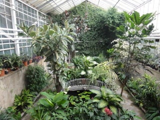 2015 10 botanica jibou web