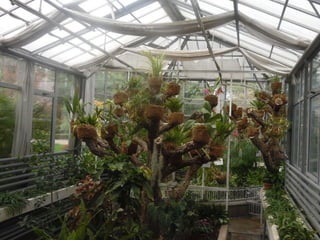 2015 10 botanica jibou web