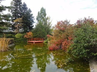 2015 10 botanica jibou web