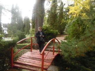 2015 10 botanica jibou web