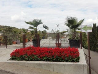 2015 10 botanica jibou web