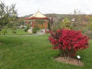 2015 10 botanica jibou web