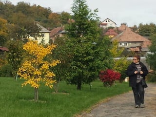 2015 10 botanica jibou web