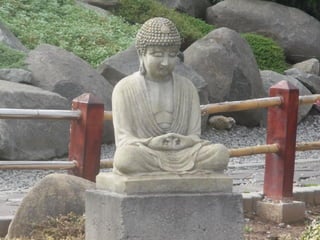 2015 10 botanica jibou web