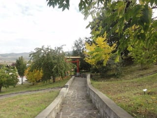 2015 10 botanica jibou web