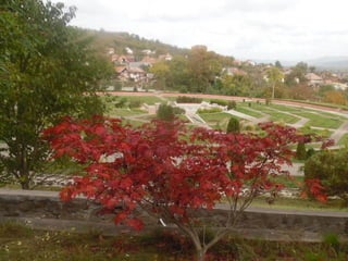 2015 10 botanica jibou web