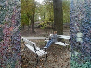 2015 10 botanica jibou web