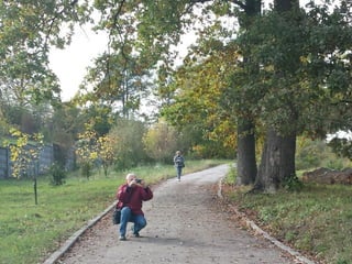 2015 10 botanica jibou web