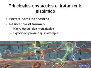 Principales obstáculos al tratamiento
sistémico
• Barrera hematoencefálica
• Resistencia al fármaco
– Inherente del clon metastásico
– Exposición previa a quimioterapia
 