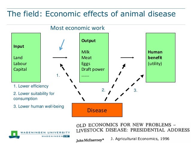 Animal health economics and precision farming