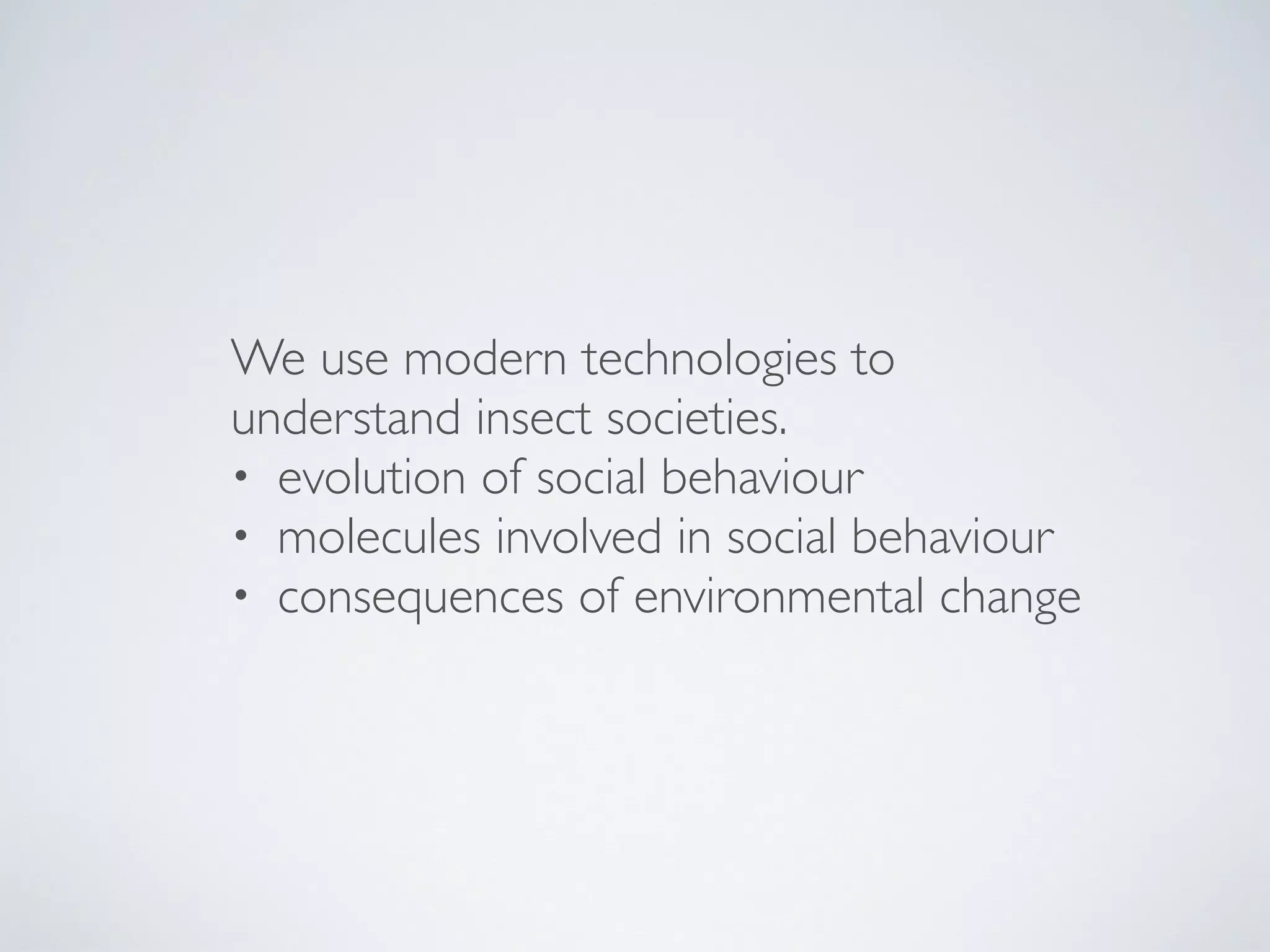 We use modern technologies to
understand insect societies.
• evolution of social behaviour
• molecules involved in social behaviour
• consequences of environmental change
 