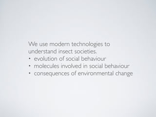We use modern technologies to
understand insect societies.
• evolution of social behaviour
• molecules involved in social ...
