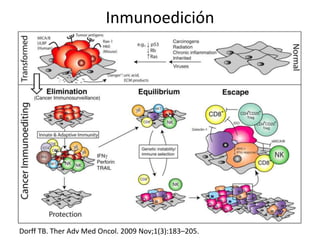 Los tumores pueden evadir el sistema inmune
Mechanisms of Tumor Immune Escape
Specialized tumour mechanisms for evading
ho...