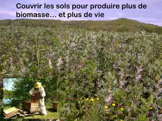 Génie végétal, couverture des sols et agroforesterie dans le bassin Adour-Garonne «De l’agriculture à effet de serre, à l’agriculture effet de terre»