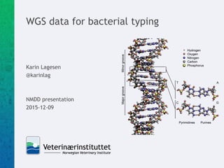 WGS data for bacterial typing
Karin Lagesen
@karinlag
NMDD presentation
2015-12-09
 
