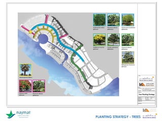 PLANTING STRATEGY - TREES
 
