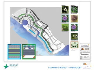 PLANTING STRATEGY - UNDERSTORY
 