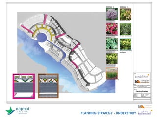 PLANTING STRATEGY - UNDERSTORY
 