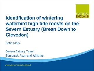 Identification of wintering
waterbird high tide roosts on the
Severn Estuary (Brean Down to
Clevedon)
Katie Clark
Severn Estuary Team
Somerset, Avon and Wiltshire
 