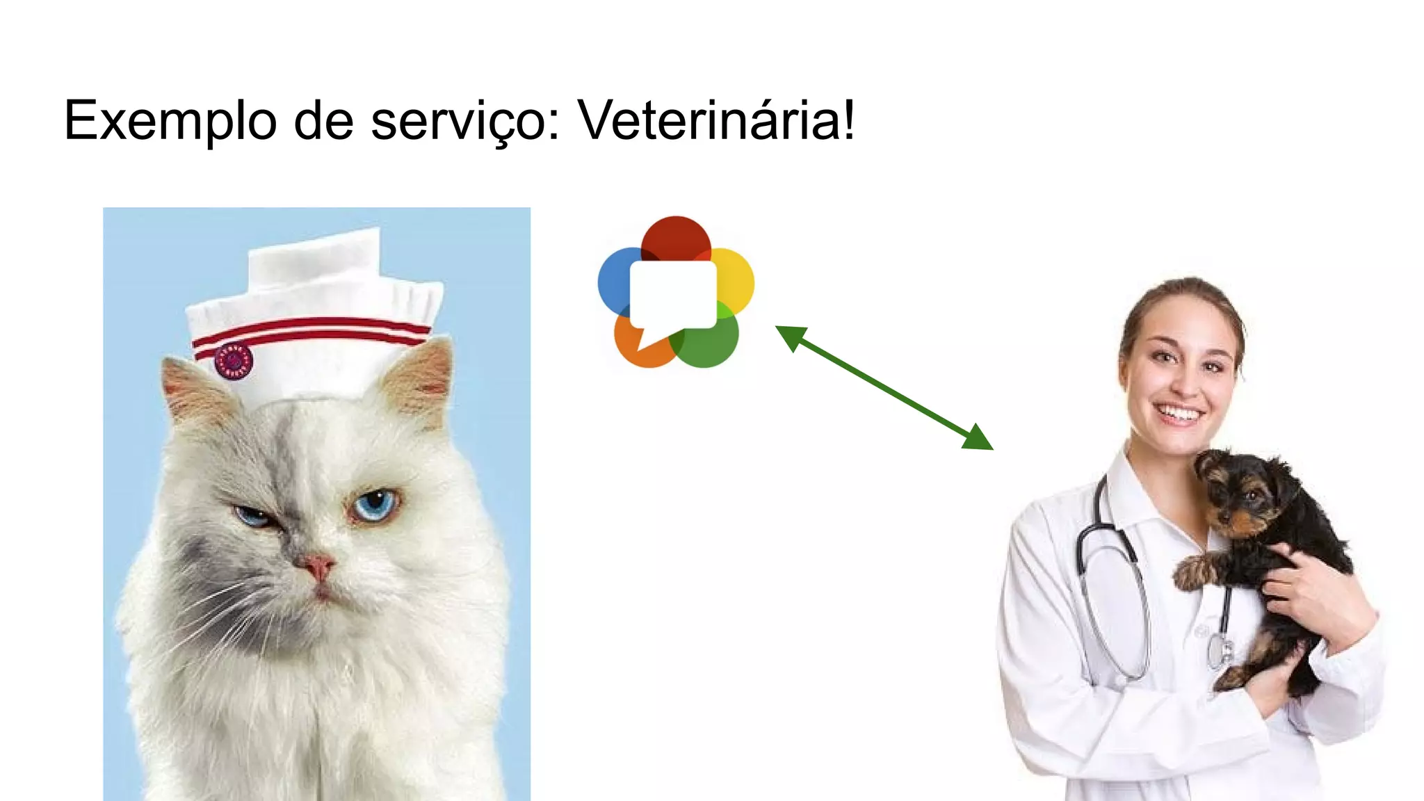 Exemplo de serviço: Veterinária!
 