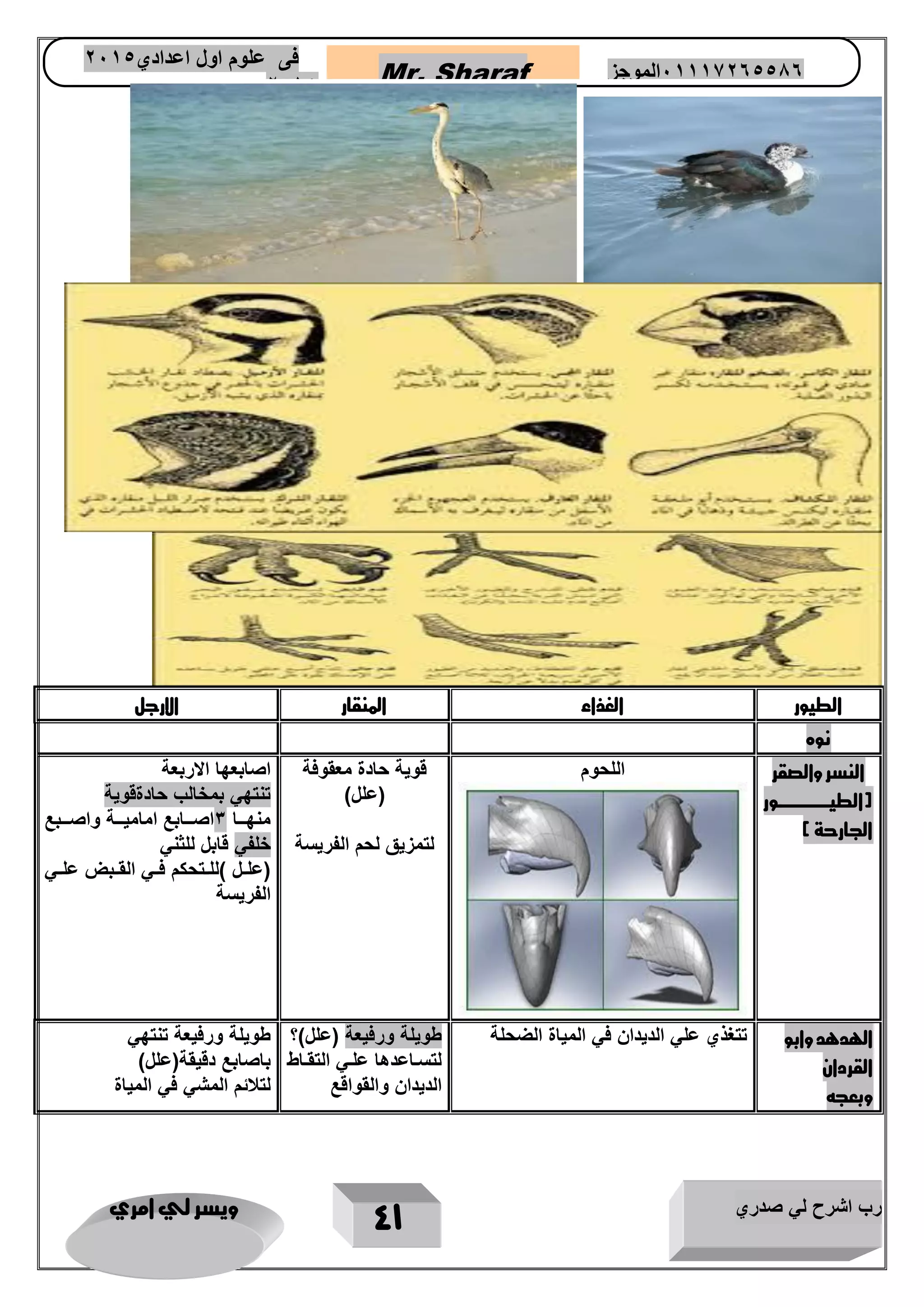 رب اشرح لي صدري ويسر لي امري 
41 
Mr. Sharaf 65556201110 الموجز فى علوم اول اعدادي 2651 
2651 
الطيور الغذاء المنقار الارجل 
نوه 
النسر والصقر 
)الطيتتتتتتتتتتتتتتتتور 
الجارحة ( 
اللحوم قوية حادة معقوفة 
)علل( 
لتمزيق لحم الفريسة 
اصابعها الاربعة 
تنتهي بمخالب حادةقوية 
منهاااا 3اصاااابع امامياااة واصااابع 
خلفي قابل للثني 
)علاال (للااتحكم فااي القاابض علااي 
الفريسة 
الهدهد وابو 
القردان 
وبعجه 
تتغذي علي الديدان في المياة الضحلة طويلة ورفيعة )علل(؟ 
لتسااعدها علاي التقاااط 
الديدان والقواقع 
طويلة ورفيعة تنتهي 
باصابع دقيقة)علل( 
لتلائم المشي في المياة 
 