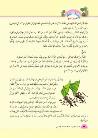 الوحَدْةَ الثالثة 
66 اللغة العربية ـ ال €صف الثالث الإعدادى 
الدر Sس الرابع 
 