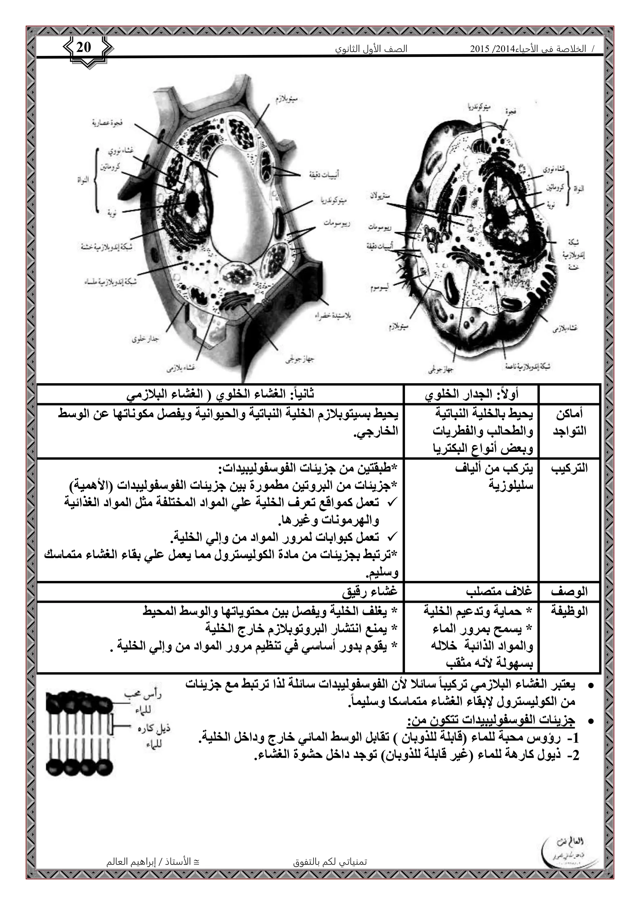 4102 الصف الأول الثانوي 20 / الخلاصة في الأحياء 4102  
أولاً: الجدار الخلوي ثانيا:ً الغشاء الخلوي ) الغشاء البلازمي 
الأستاذ / إبراهيم العالم  تمنياتي لكم بالتفوق 
أماكن 
التواجد 
يحيط بالخلية النباتية 
والطحالب والفطريات 
وبعض أنواع البكتريا 
يحيط بسيتوبلازم الخلية النباتية والحيوانية ويفصل مكوناتها عن الوسط 
الخارجي. 
التركيب يتركب من ألياف 
سليلوزية 
*طبقتين من جزيئات الفوسفوليبيدات: 
*جزيئات من البروتين مطمورة بين جزيئات الفوسفوليبدات )الأهمية( 
تعمل كمواقع تعرف الخلية علي المواد المختلفة مثل المواد الغذائية  
والهرمونات وغيرها. 
تعمل كبوابات لمرور المواد من وإلي الخلية.  
*ترتبط بجزيئات من مادة الكوليسترول مما يعمل علي بقاء الغشاء متماسك 
وسليم. 
الوصف غلاف متصلب غشاء رقيق 
الوظيفة * حماية وتدعيم الخلية 
* يسمح بمرور الماء 
والمواد الذائبة خلاله 
بسهولة لأنه مثقب 
* يغلف الخلية ويفصل بين محتوياتها والوسط المحيط 
* يمنع انتشار البروتوبلازم خارج الخلية 
* يقوم بدور أساسي في تنظيم مرور المواد من وإلي الخلية . 
يعتبر الغشاء البلازمي تركيبا سائلا لأن الفوسفوليبدات سائلة لذا ترتبط مع جزيئات  
من الكوليسترول لإبقاء الغشاء متماسكا وسليما.ً 
جزيئات الفوسفوليبيدات تتكون من:  
-1 رؤوس محبة للماء )قابلة للذوبان ( تقابل الوسط المائي خارج وداخل الخلية. 
-2 ذيول كارهة للماء )غير قابلة للذوبان( توجد داخل حشوة الغشاء. 
 
