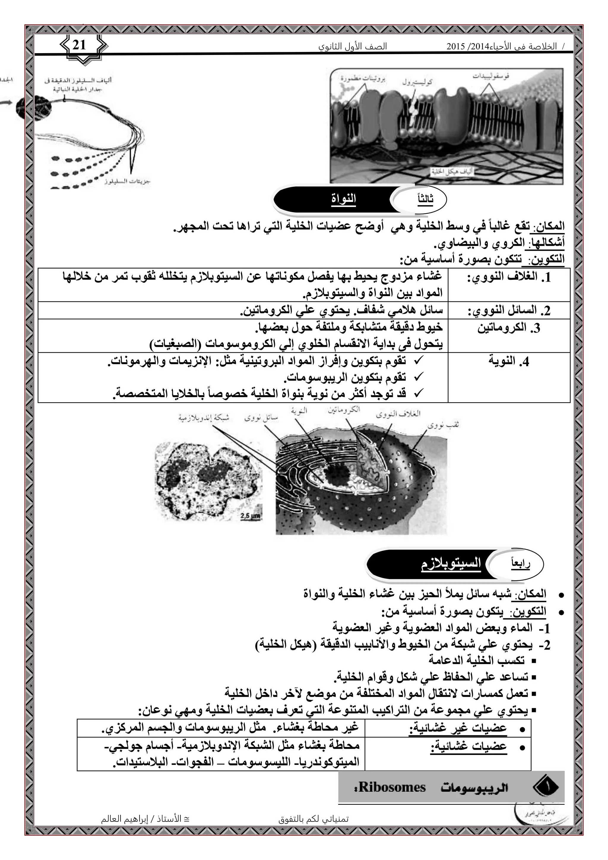 4102 الصف الأول الثانوي 21 / الخلاصة في الأحياء 4102  
ثالث اً النواة 
المكان: تقع غالبا في وسط الخلية وهي أوضح عضيات الخلية التي تراها تحت المجهر. 
أشكالها: الكروي والبيضاوي. 
التكوين: تتكون بصورة أساسية من: 
1. الغلاف النووي: غشاء مزدوج يحيط بها يفصل مكوناتها عن السيتوبلازم يتخلله ثقوب تمر من خلالها 
المواد بين النواة والسيتوبلازم. 
2. السائل النووي: سائل هلامي شفاف. يحتوي علي الكروماتين. 
3. الكروماتين خيوط دقيقة متشابكة وملتفة حول بعضها. 
يتحول فى بداية الانقسام الخلوي إلي الكروموسومات )الصبغيات( 
تقوم بتكوين وإفراز المواد البروتينية مثل: الإنزيمات والهرمونات.  4. النوية 
تقوم بتكوين الريبوسومات.  
قد توجد أكثر من نوية بنواة الخلية خصوصا بالخلايا المتخصصة.  
المكان: شبه سائل يملأ الحيز بين غشاء الخلية والنواة  
الأستاذ / إبراهيم العالم  تمنياتي لكم بالتفوق 
التكوين: يتكون بصورة أساسية من:  
-1 الماء وبعض المواد العضوية وغير العضوية 
-2 يحتوي علي شبكة من الخيوط والأنابيب الدقيقة )هيكل الخلية( 
تكسب الخلية الدعامة  
تساعد علي الحفاظ علي شكل وقوام الخلية.  
تعمل كمسارات لانتقال المواد المختلفة من موضع لآخر داخل الخلية  
يحتوي علي مجموعة من التراكيب المتنوعة التي تعرف بعضيات الخلية ومهي نوعان:  
عضيات غير غشائية: غير محاطة بغشاء. مثل الريبوسومات والجسم المركزي.  
عضيات غشائية: محاطة بغشاء مثل الشبكة الإندوبلازمية- أجسام جولجي-  
الميتوكوندريا- الليسوسومات – الفجوات- البلاستيدات. 
رابع اً السيتوبلازم 
 