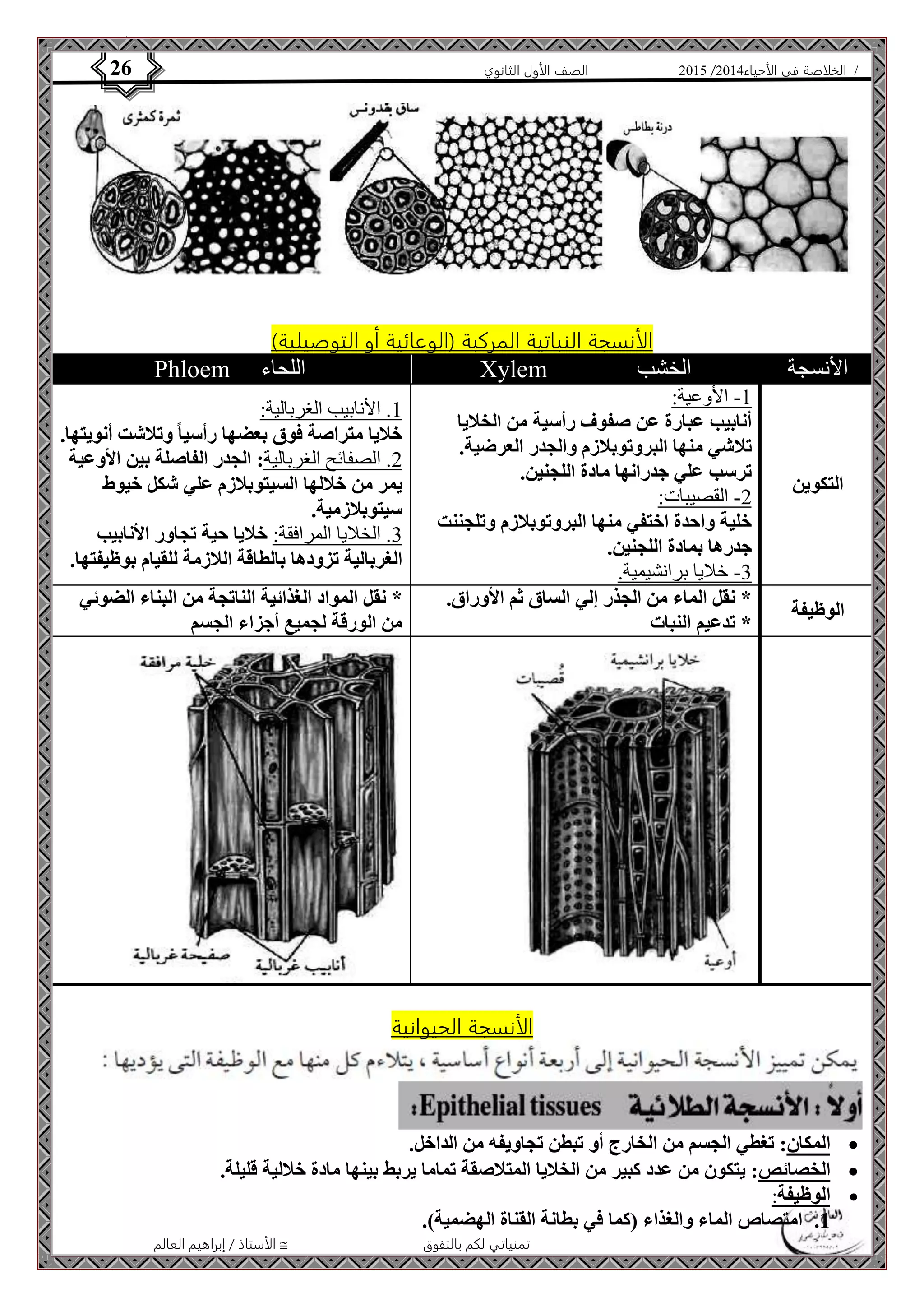 4102 الصف الأول الثانوي 26 / الخلاصة في الأحياء 4102  
الأنسجة النباتية المركبة )الوعائية أو التوصيلية( 
Phloem اللحاء Xylem الأنسجة الخشب 
الأستاذ / إبراهيم العالم  تمنياتي لكم بالتفوق 
التكوين 
-0 الأوعية: 
أنابيب عبارة عن صفوف رأسية من الخلايا 
تلاشي منها البروتوبلازم والجدر العرضية. 
ترسب علي جدرانها مادة اللجنين. 
-4 القصيبات: 
خلية واحدة اختفي منها البروتوبلازم وتلجننت 
جدرها بمادة اللجنين. 
-3 خلايا برانشيمية. 
0. الأنابيب الغربالية: 
خلايا متراصة فوق بعضها رأسيا وتلاشت أنويتها. 
4. الصفائح الغربالية: الجدر الفاصلة بين الأوعية 
يمر من خلالها السيتوبلازم علي شكل خيوط 
سيتوبلازمية. 
3. الخلايا المرافقة: خلايا حية تجاور الأنابيب 
الغربالية تزودها بالطاقة اللازمة للقيام بوظيفتها. 
الوظيفة 
* نقل الماء من الجذر إلي الساق ثم الأوراق. 
* تدعيم النبات 
* نقل المواد الغذائية الناتجة من البناء الضوئي 
من الورقة لجميع أجزاء الجسم 
الأنسجة الحيوانية 
المكان: تغطي الجسم من الخارج أو تبطن تجاويفه من الداخل.  
الخصائص: يتكون من عدد كبير من الخلايا المتلاصقة تماما يربط بينها مادة خلالية قليلة.  
الوظيفة:  
1. امتصاص الماء والغذاء )كما في بطانة القناة الهضمية(. 
 