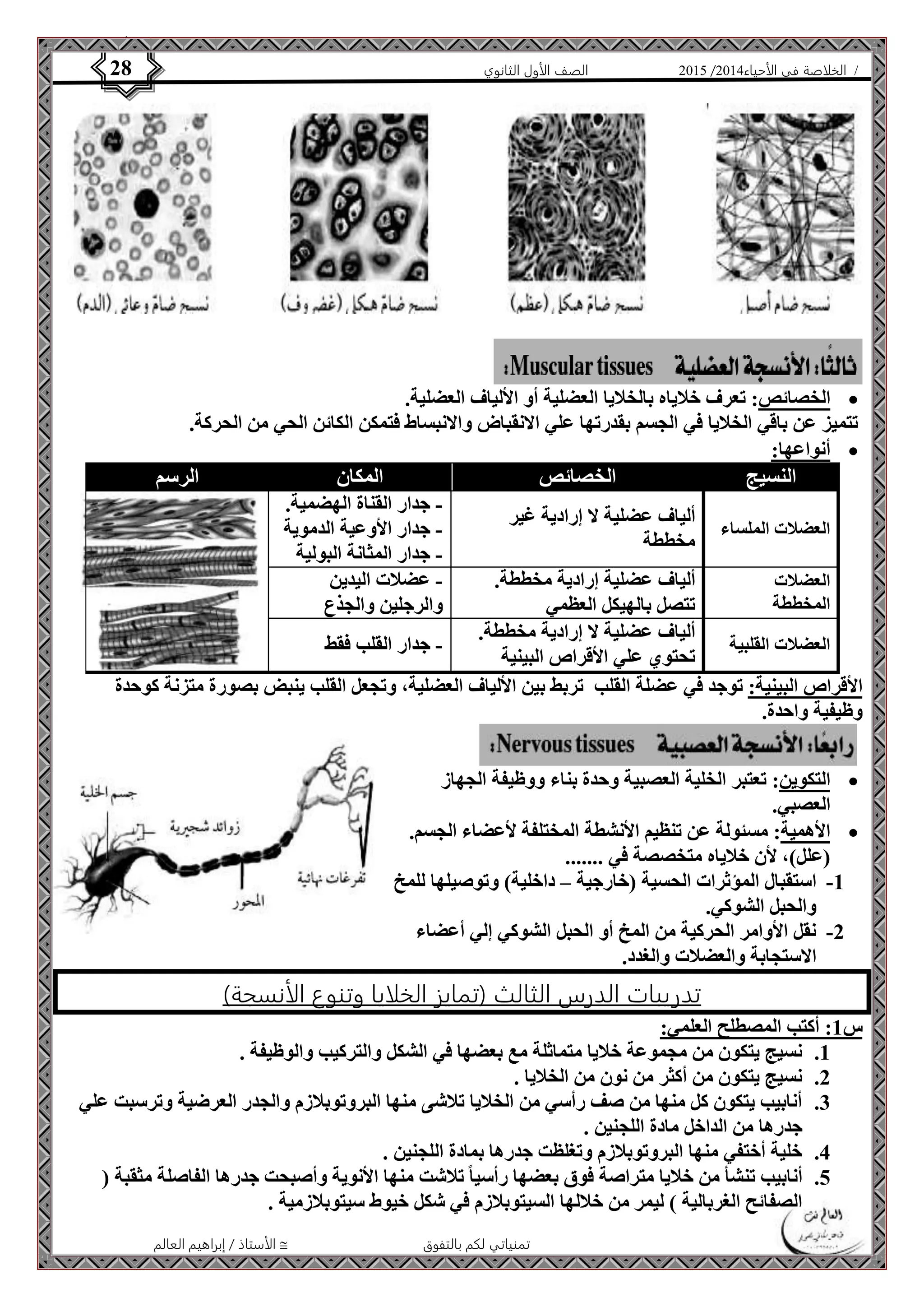 4102 الصف الأول الثانوي 28 / الخلاصة في الأحياء 4102  
الخصائص: تعرف خلاياه بالخلايا العضلية أو الألياف العضلية.  
تتميز عن باقي الخلايا في الجسم بقدرتها علي الانقباض والانبساط فتمكن الكائن الحي من الحركة. 
الأستاذ / إبراهيم العالم  تمنياتي لكم بالتفوق 
أنواعها:  
النسيج الخصائص المكان الرسم 
العضلات الملساء 
ألياف عضلية لا إرادية غير 
مخططة 
- جدار القناة الهضمية. 
- جدار الأوعية الدموية 
- جدار المثانة البولية 
العضلات 
المخططة 
ألياف عضلية إرادية مخططة. 
تتصل بالهيكل العظمي 
- عضلات اليدين 
والرجلين والجذع 
العضلات القلبية 
ألياف عضلية لا إرادية مخططة. 
تحتوي علي الأقراص البينية 
- جدار القلب فقط 
الأقراص البينية: توجد في عضلة القلب تربط بين الألياف العضلية، وتجعل القلب ينبض بصورة متزنة كوحدة 
وظيفية واحدة. 
التكوين: تعتبر الخلية العصبية وحدة بناء ووظيفة الجهاز  
العصبي. 
الأهمية: مسئولة عن تنظيم الأنشطة المختلفة لأعضاء الجسم.  
)علل(، لأن خلاياه متخصصة في ....... 
-1 استقبال المؤثرات الحسية )خارجية – داخلية( وتوصيلها للمخ 
والحبل الشوكي. 
-2 نقل الأوامر الحركية من المخ أو الحبل الشوكي إلي أعضاء 
الاستجابة والعضلات والغدد. 
تدريبات الدرس الثالث )تمايز الخلايا وتنوع الأنسجة( 
س 1: أكتب المصطلح العلمي: 
1. نسيج يتكون من مجموعة خلايا متماثلة مع بعضها في الشكل والتركيب والوظيفة . 
2. نسيج يتكون من أكثر من نون من الخلايا . 
3. أنابيب يتكون كل منها من صف رأسي من الخلايا تلاشى منها البروتوبلازم والجدر العرضية وترسبت علي 
جدرها من الداخل مادة اللجنين . 
4. خلية أختفي منها البروتوبلازم وتغلظت جدرها بمادة اللجنين . 
5. أنابيب تنشأ من خلايا متراصة فوق بعضها رأسيا تلاشت منها الأنوية وأصبحت جدرها الفاصلة مثقبة ) 
الصفائح الغربالية ( ليمر من خلالها السيتوبلازم في شكل خيوط سيتوبلازمية . 
 