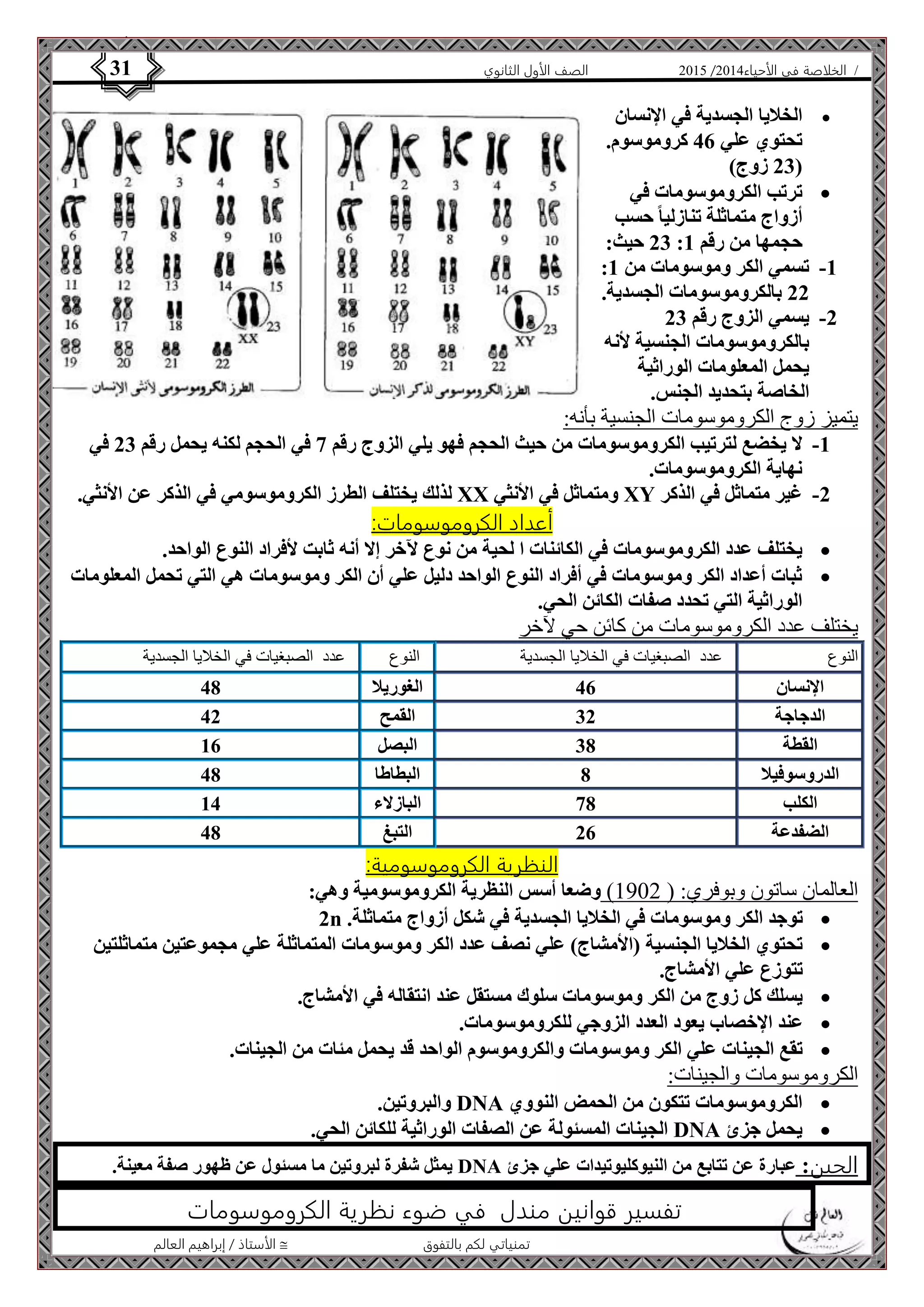 4102 الصف الأول الثانوي 31 / الخلاصة في الأحياء 4102  
الأستاذ / إبراهيم العالم  تمنياتي لكم بالتفوق 
الخلايا الجسدية في الإنسان  
تحتوي علي 46 كروموسوم. 
23 زوج( ( 
ترتب الكروموسومات في  
أزواج متماثلة تنازليا حسب 
23 حيث: : حجمها من رقم 1 
: -1 تسمي الكر وموسومات من 1 
22 بالكروموسومات الجسدية. 
-2 يسمي الزوج رقم 23 
بالكروموسومات الجنسية لأنه 
يحمل المعلومات الوراثية 
الخاصة بتحديد الجنس. 
يتميز زوج الكروموسومات الجنسية بأنه: 
-1 لا يخضع لترتيب الكروموسومات من حيث الحجم فهو يلي الزوج رقم 7 في الحجم لكنه يحمل رقم 23 في 
نهاية الكروموسومات. 
لذلك يختلف الطرز الكروموسومي في الذكر عن الأنثي. XX ومتماثل في الأنثي XY -2 غير متماثل في الذكر 
أعداد الكروموسومات: 
يختلف عدد الكروموسومات في الكائنات ا لحية من نوع لآخر إلا أنه ثابت لأفراد النوع الواحد.  
ثبات أعداد الكر وموسومات في أفراد النوع الواحد دليل علي أن الكر وموسومات هي التي تحمل المعلومات  
الوراثية التي تحدد صفات الكائن الحي. 
يختلف عدد الكروموسومات من كائن حي لآخر 
النوع عدد الصبغيات في الخلايا الجسدية النوع عدد الصبغيات في الخلايا الجسدية 
الإنسان 46 الغوريلا 48 
الدجاجة 32 القمح 42 
القطة 38 البصل 16 
الدروسوفيلا 8 البطاطا 48 
الكلب 78 البازلاء 14 
الضفدعة 26 التبغ 48 
النظرية الكروموسومية: 
العالمان ساتون وبوفري: ) 0414 ( وضعا أسس النظرية الكروموسومية وهي: 
2n . توجد الكر وموسومات في الخلايا الجسدية في شكل أزواج متماثلة  
تحتوي الخلايا الجنسية )الأمشاج( علي نصف عدد الكر وموسومات المتماثلة علي مجموعتين متماثلتين  
تتوزع علي الأمشاج. 
يسلك كل زوج من الكر وموسومات سلوك مستقل عند انتقاله في الأمشاج.  
عند الإخصاب يعود العدد الزوجي للكروموسومات.  
تقع الجينات علي الكر وموسومات والكروموسوم الواحد قد يحمل مئات من الجينات.  
الكروموسومات والجينات: 
والبروتين. DNA الكروموسومات تتكون من الحمض النووي  
الجينات المسئولة عن الصفات الوراثية للكائن الحي. DNA يحمل جزئ  
يمثل شفرة لبروتين ما مسئول عن ظهور صفة معينة. DNA الجين: عبارة عن تتابع من النيوكليوتيدات علي جزئ 
تفسير قوانين مندل في ضوء نظرية الكروموسومات 
 